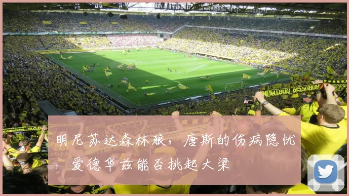 明尼苏达森林狼，唐斯的伤病隐忧，爱德华兹能否挑起大梁