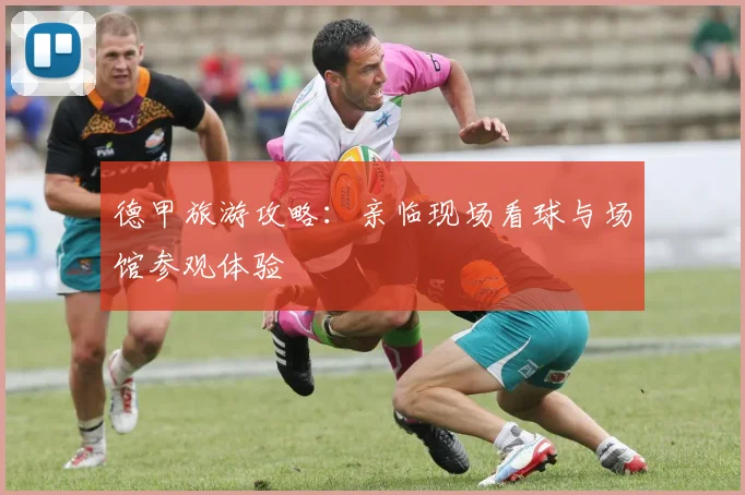 德甲旅游攻略：亲临现场看球与场馆参观体验